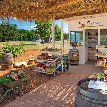 Vakantiehuis Panorama Mobile Homes In Park Umag